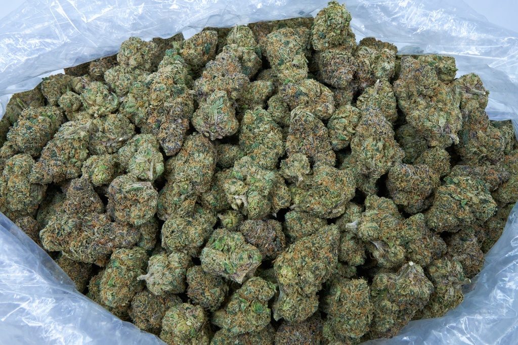 Biscotti Runtz Indoor
