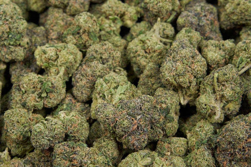 Gummiez Indoor