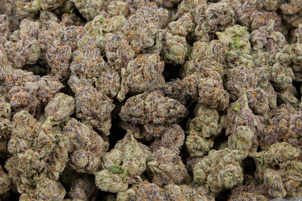Lemon Cherry Gelato Smalls