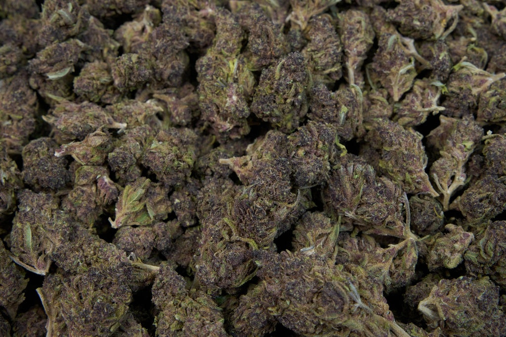 Purple Punch