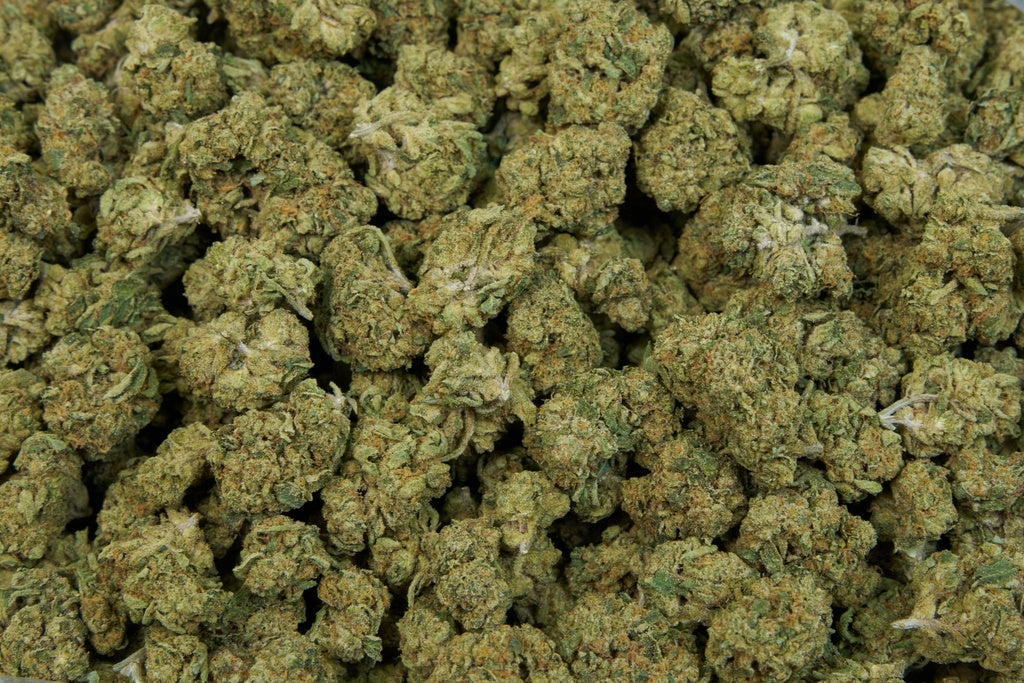 The White Indoor