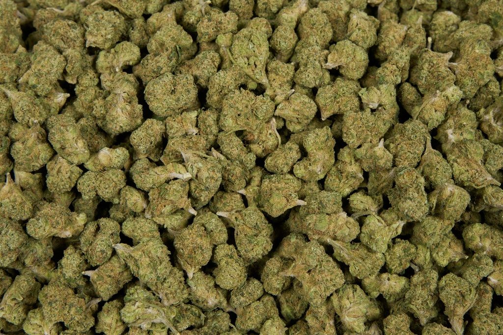 Lemon Cherry Gelato Indoor