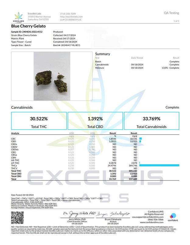 Blue Cherry Gelato Indoor