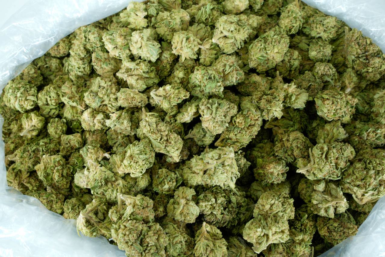 Green Crack
