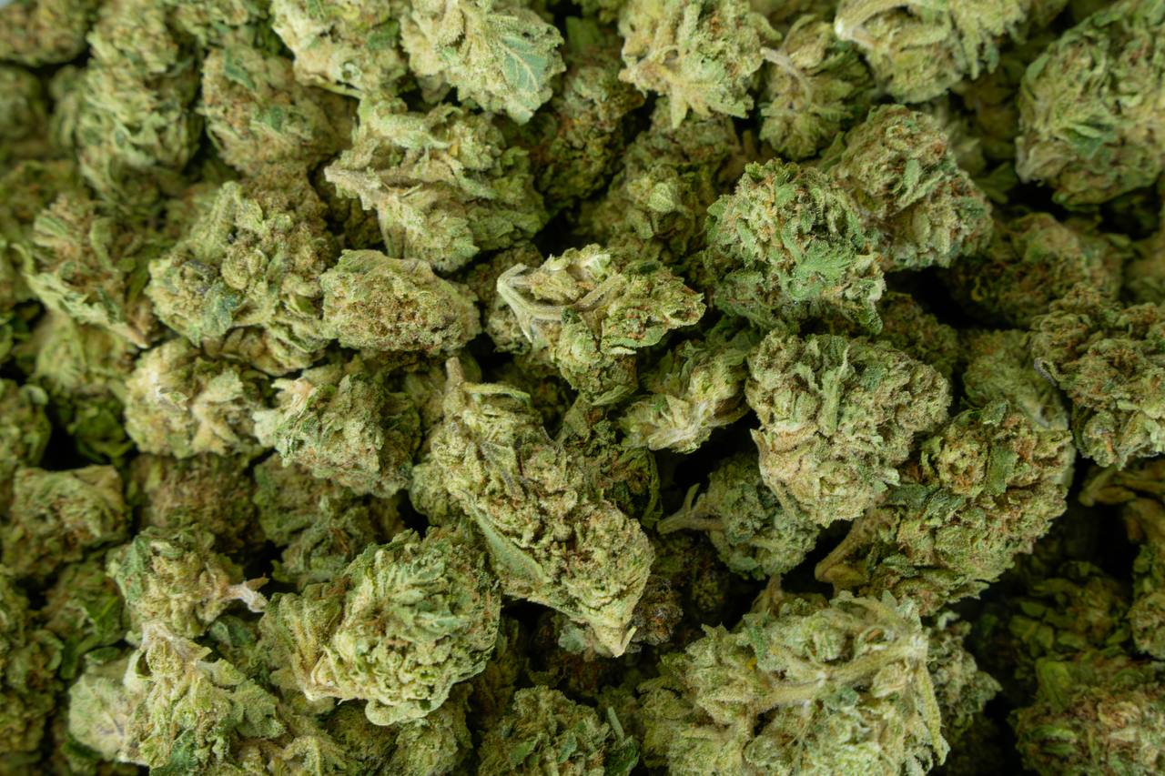 Green Crack
