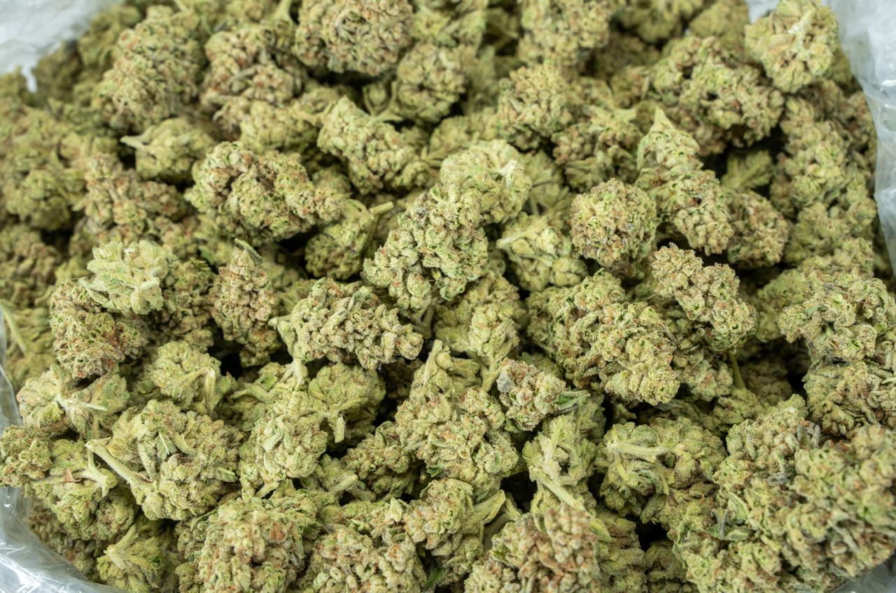 Ghost Train Haze
