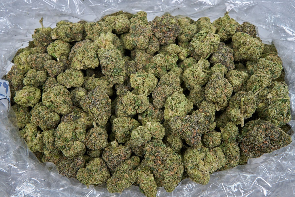 Gummiez Indoor