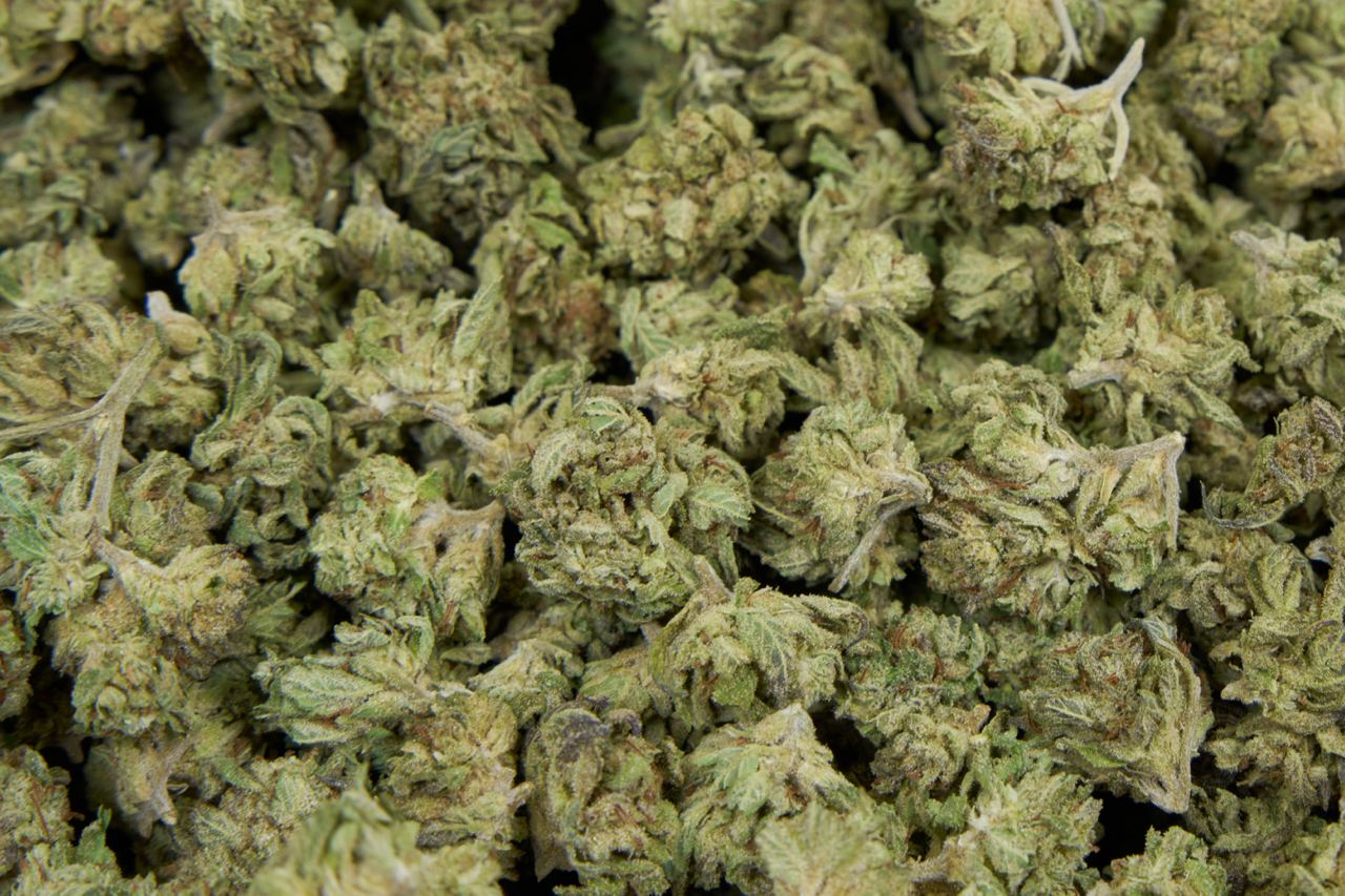 Gmo Cookies - Smalls
