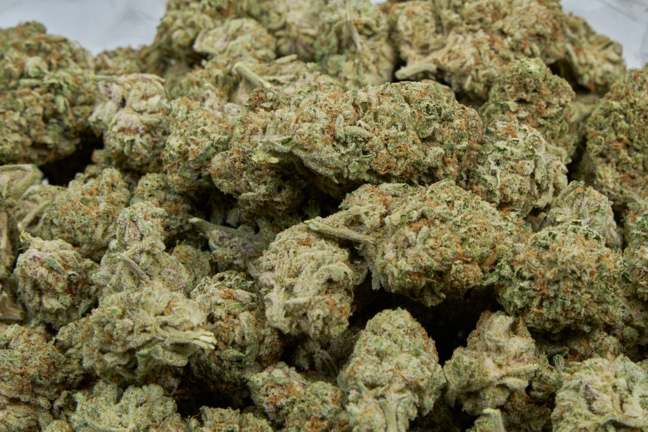 Kush Mintz Indoor