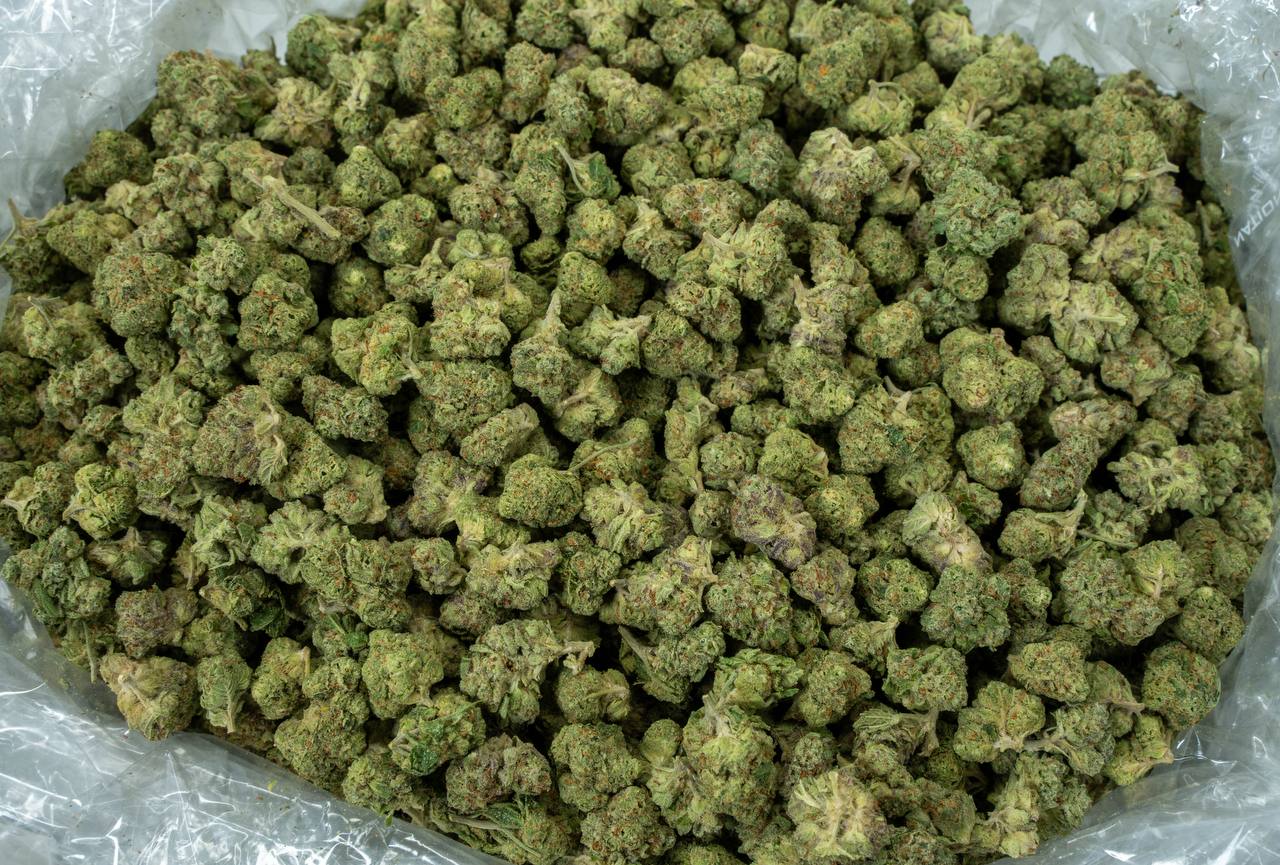 Kush Mintz Smalls