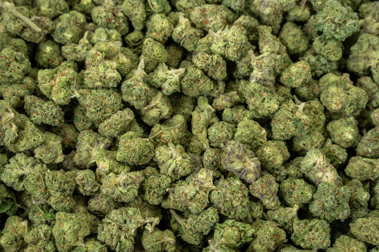 Kush Mintz Smalls