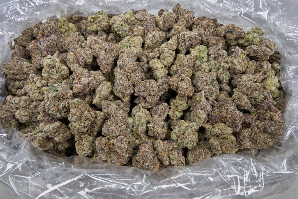 Lemon Cherry Gelato Smalls