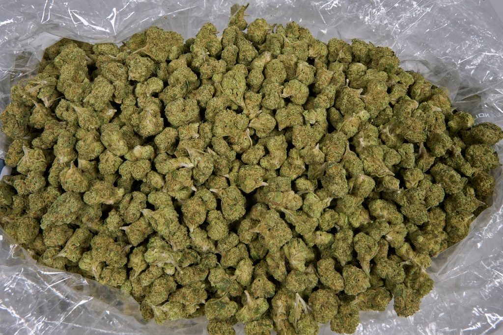 Lemon Cherry Gelato Indoor