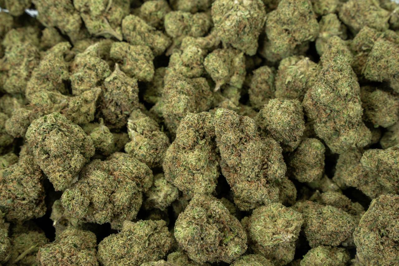 Lemon Zonkers