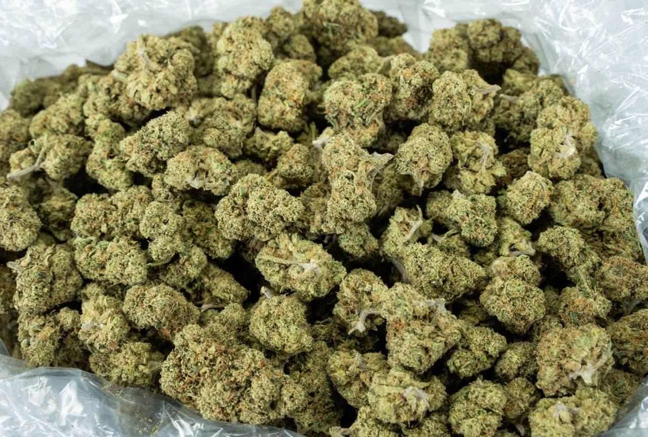 Mango Afghani