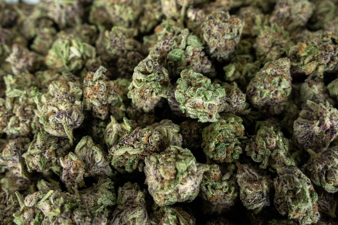 Purple Punch - Indoor