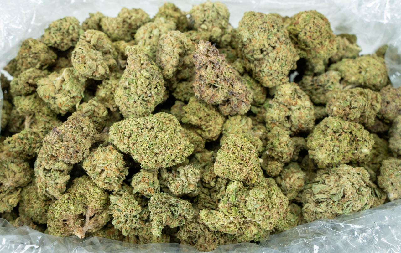 Sherbet