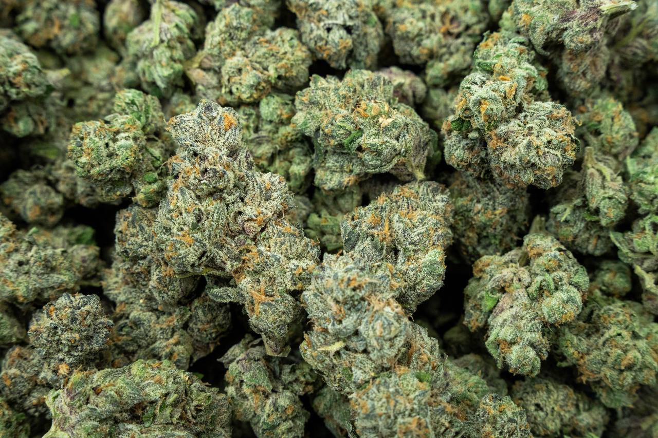 Tuscan Gelato - Indoor