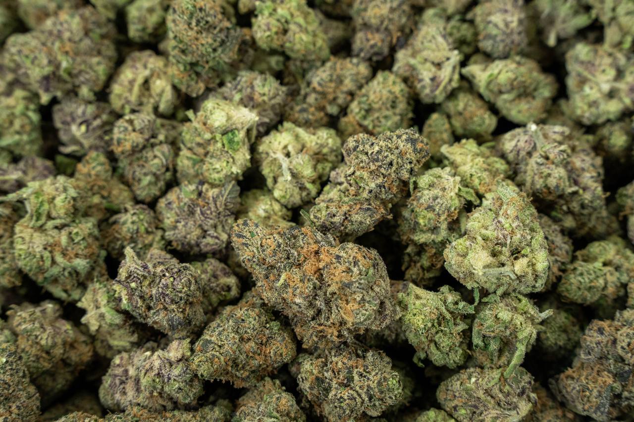 Watermelon Zkittles - Indoor