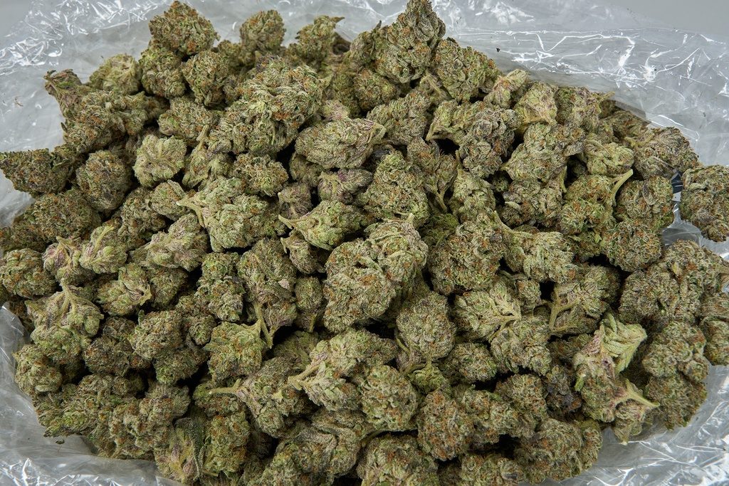 Blue Dream Indoor