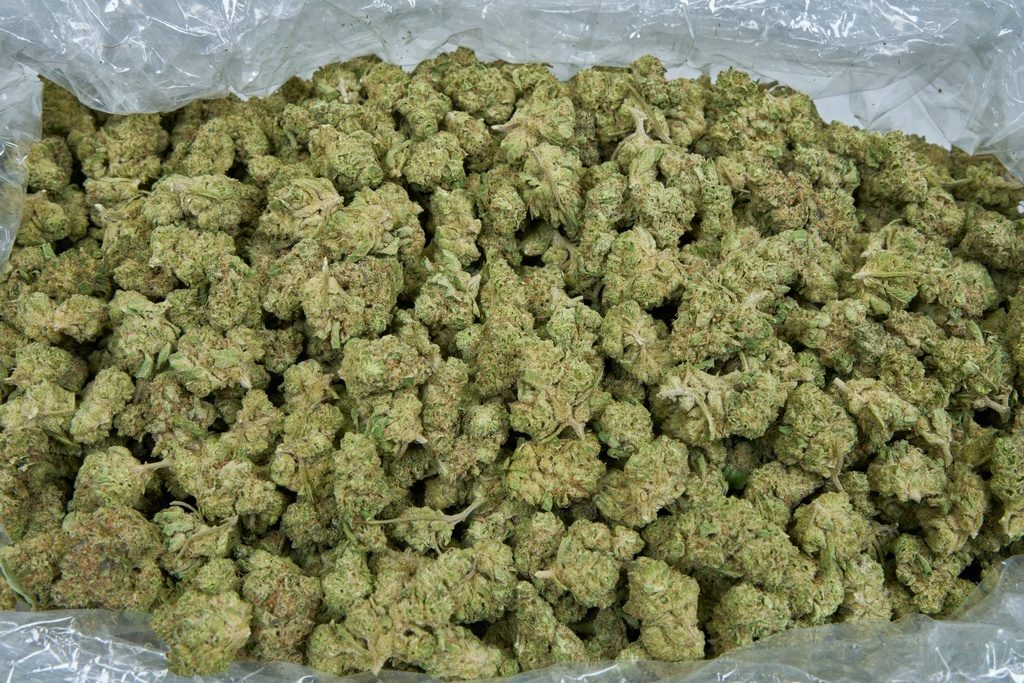 Blue Dream Smalls
