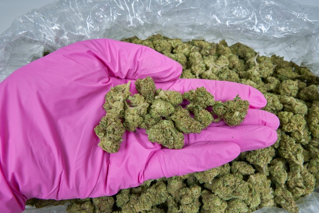 Blue Dream Smalls
