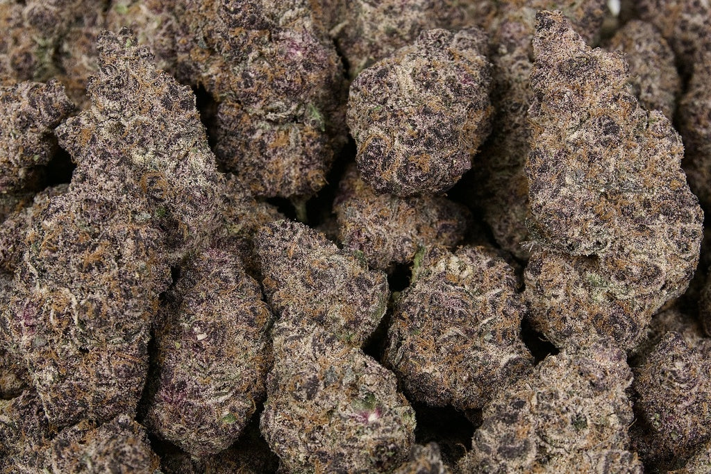 Blockberry Indoor