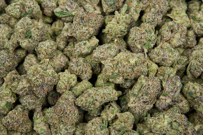 Coco-Latto Indoor