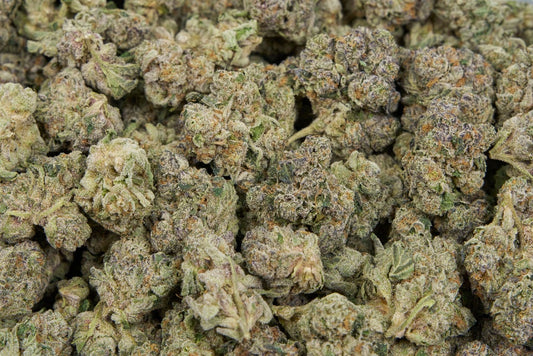 Cherry Popperz Indoor
