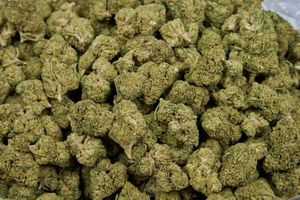 Dosidos Indoor