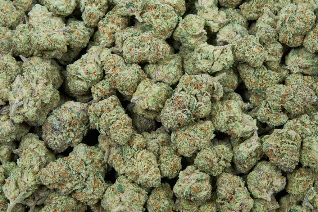 Og Cherry Indoor