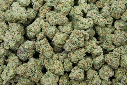 Og Cherry Indoor