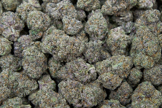 The One Indoor