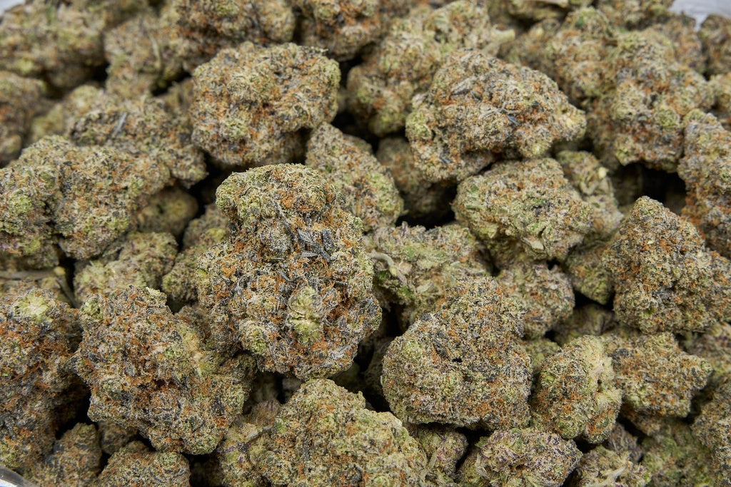 Pure Michigan Indoor