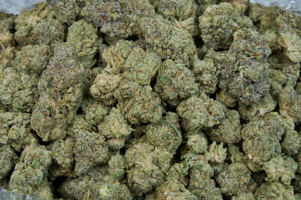 Sherbet Indoor