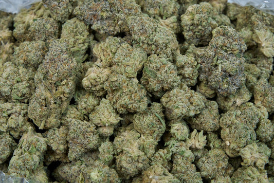 Sherbet Indoor