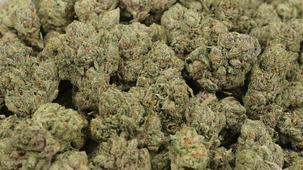 Slurty Indoor