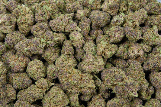 Tropicana Gelato