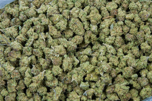 Gushers Smalls