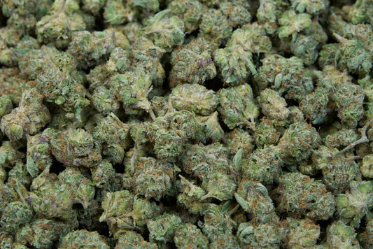 Starburst Smalls