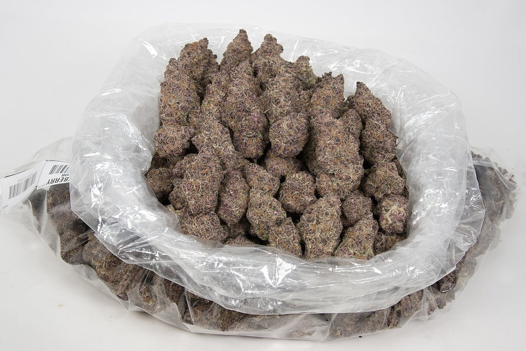 Blockberry Indoor