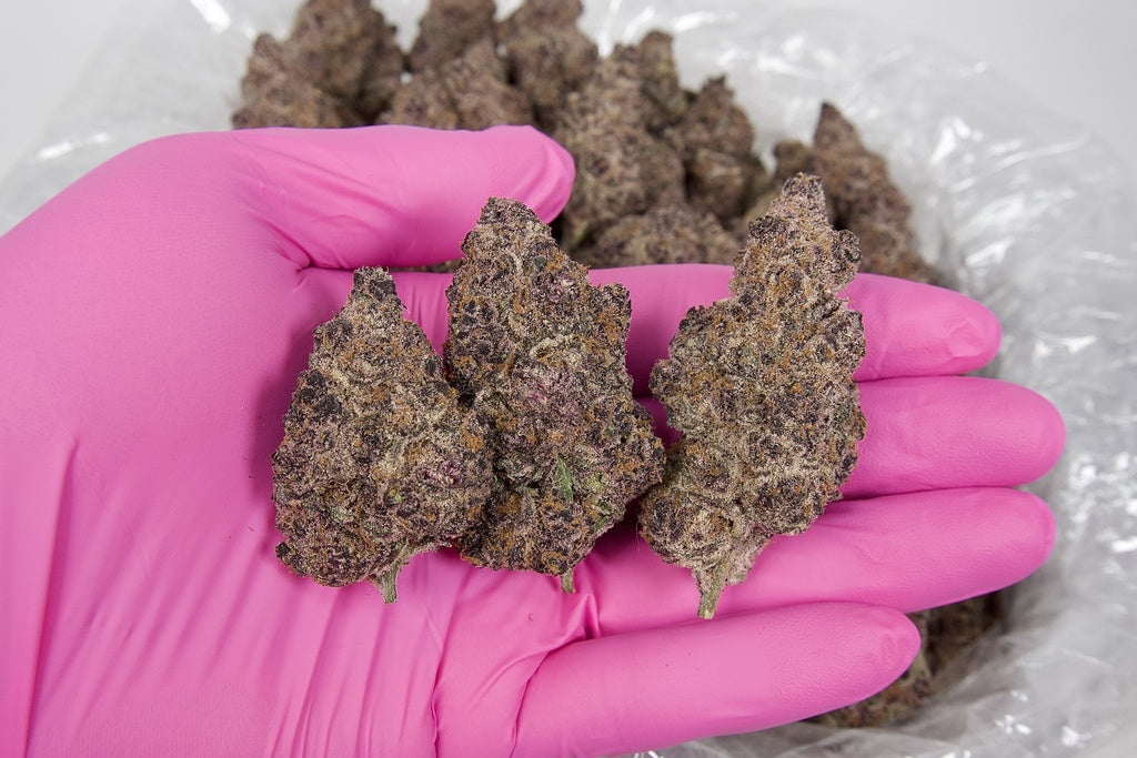 Blockberry Indoor