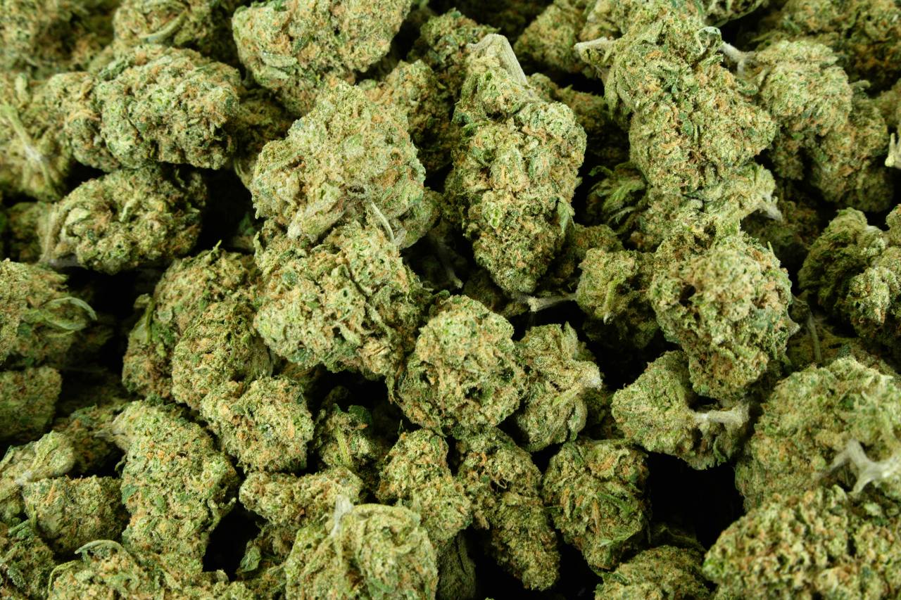 Blue Dream Pie Indoor