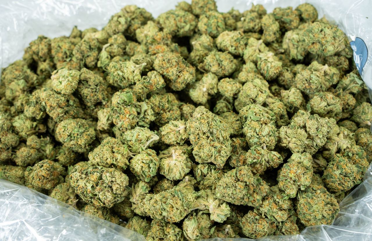 Blue Dream Pie