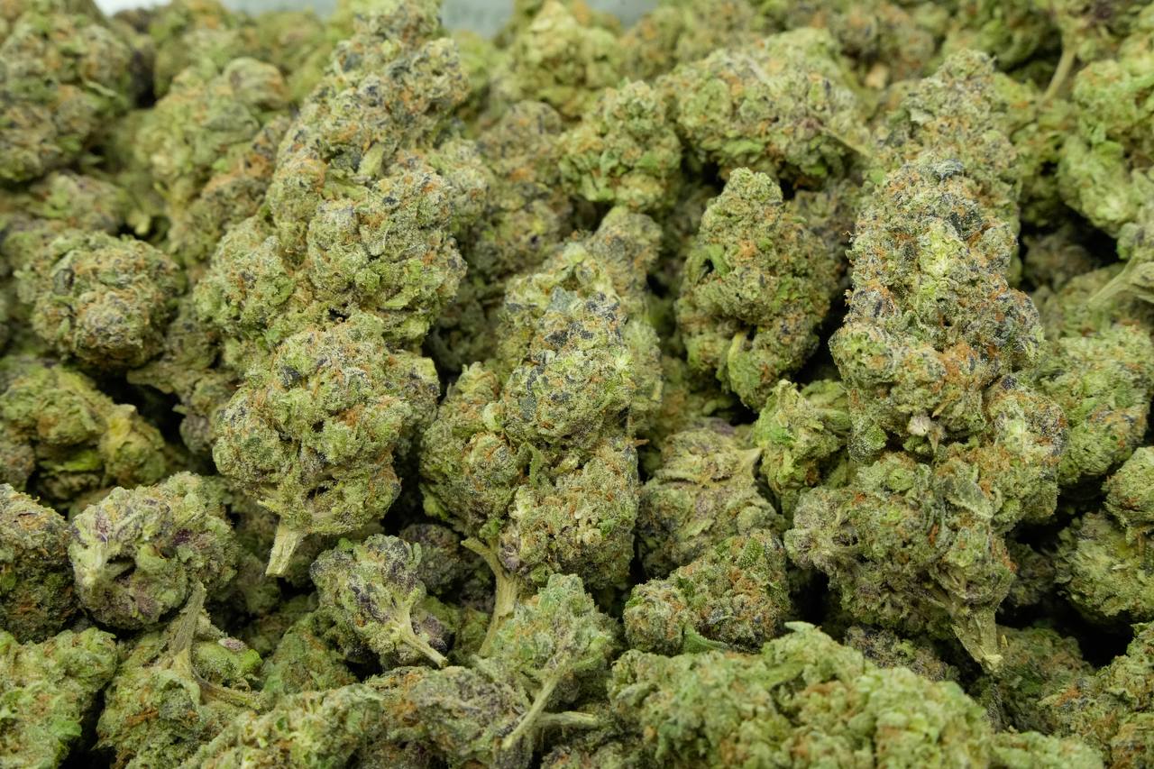 Blueberry Blast