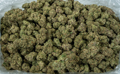 Blueberry Muffin