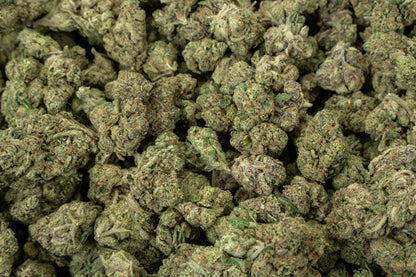 Blueberry Muffin