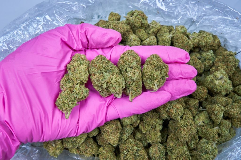 Chemdawg