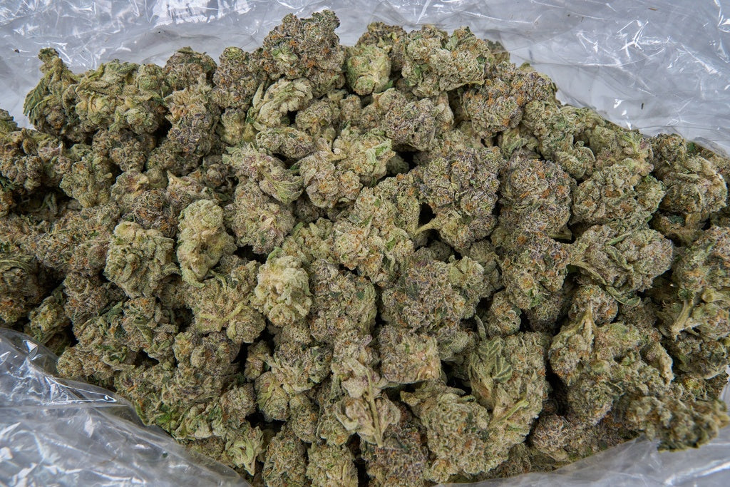 Cherry Popperz Indoor