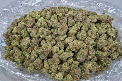 Coco-Latto Indoor